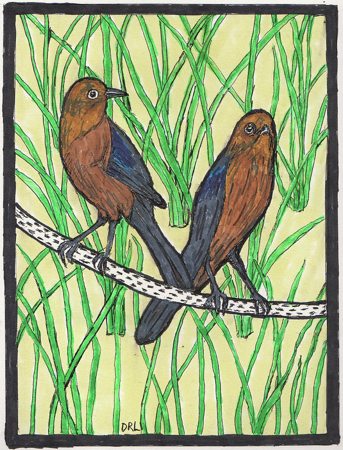 Two Female Boat-Tailed Grackles Among Transplanted Sea Oats Drawing by Danny Lowe