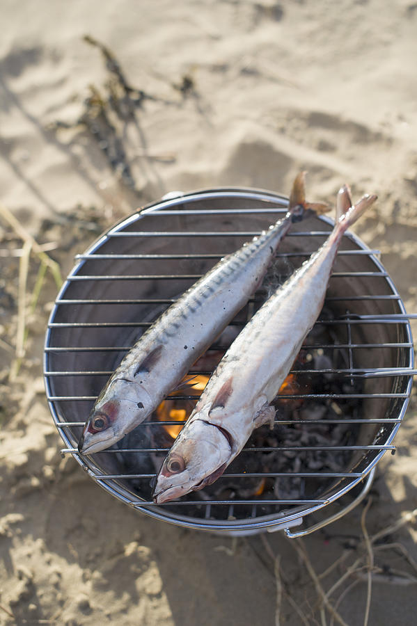 Two fish cooking over hot coals Photograph by Sean Malyon