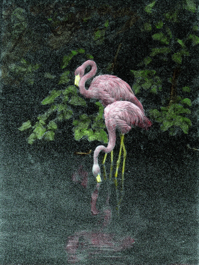 Two Flamingos Photograph by Wayne King