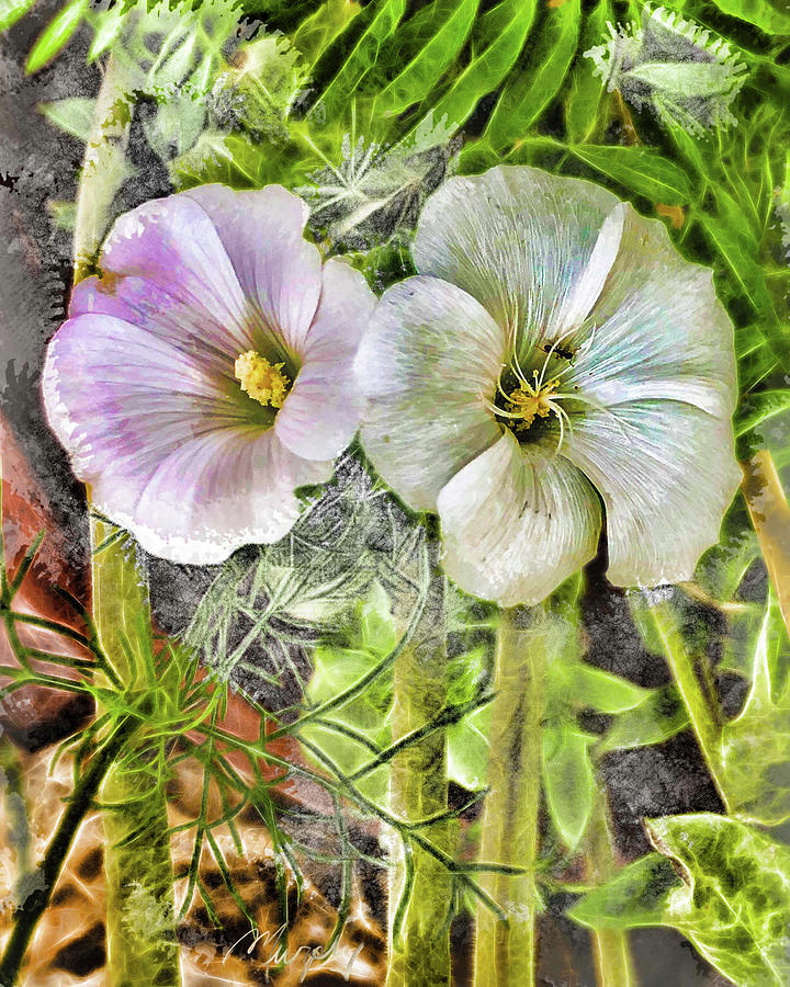Two Flowers in a Pot Digital Art by Cordia Murphy