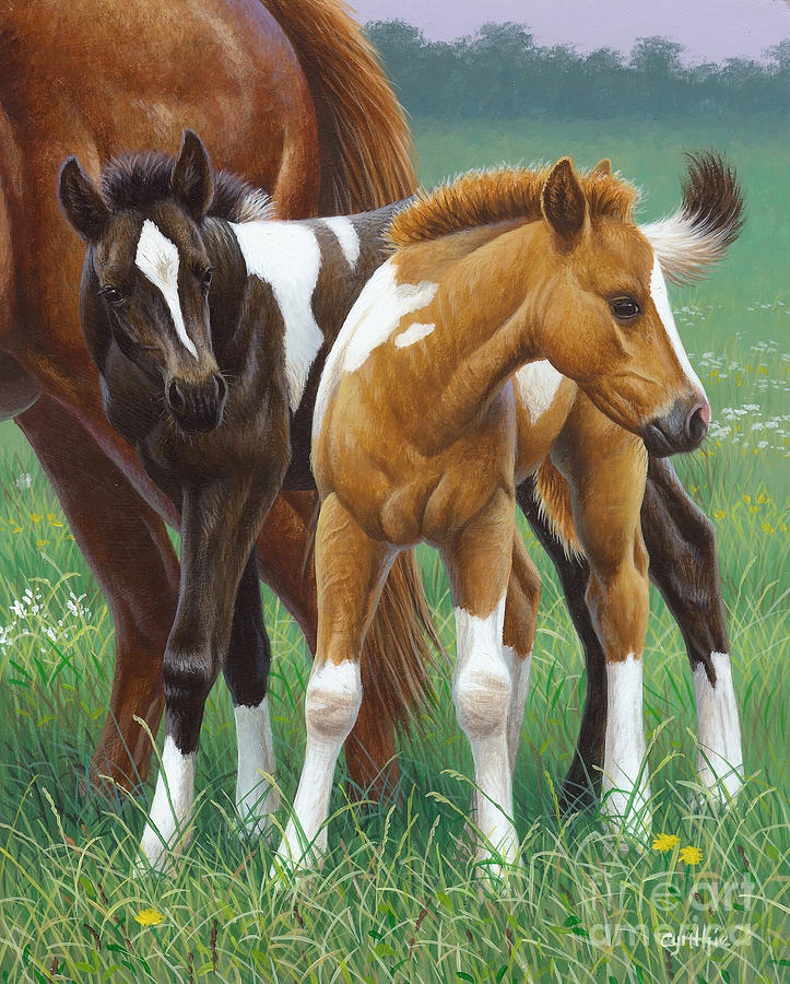 Horse Painting - Two Foals, Horses by Cynthie Fisher