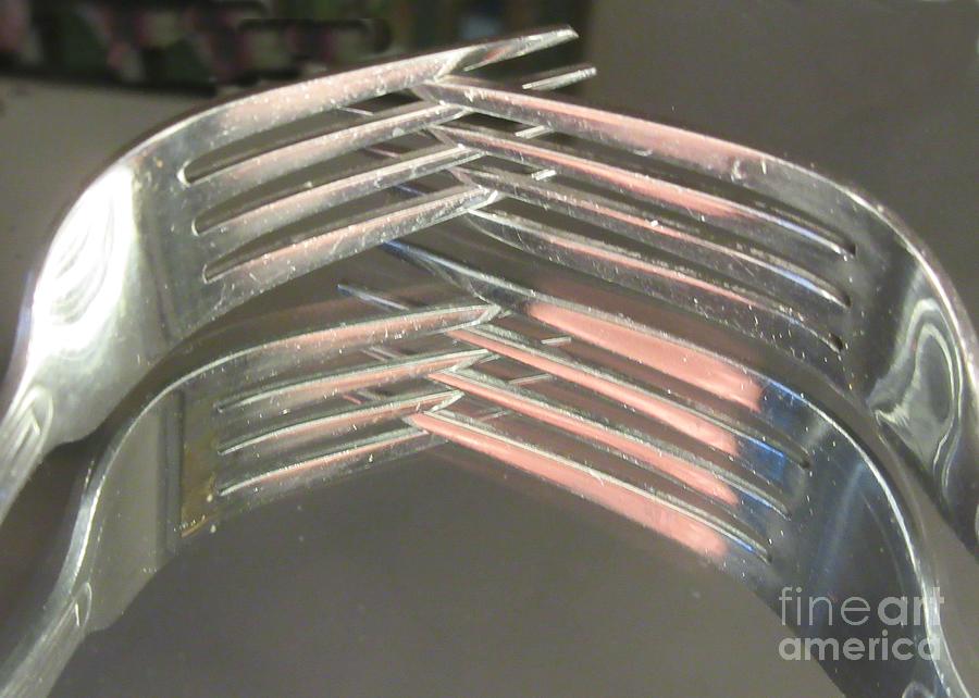 Two Forks Reflected Photograph by Lesley Evered
