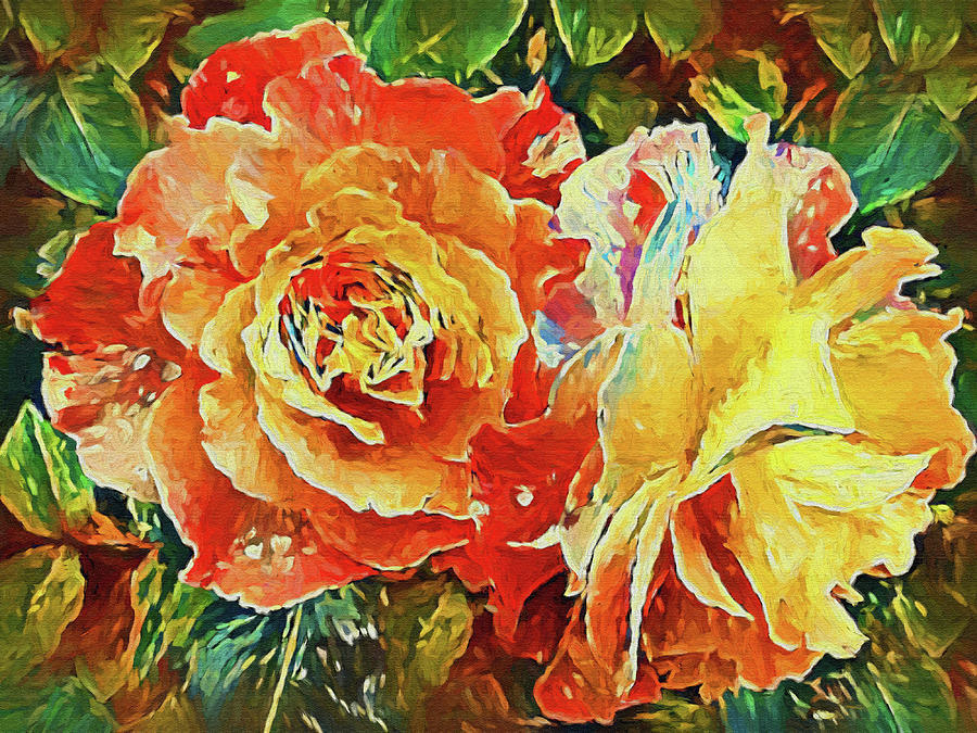 Two Garden Roses Photograph by HH Photography of Florida