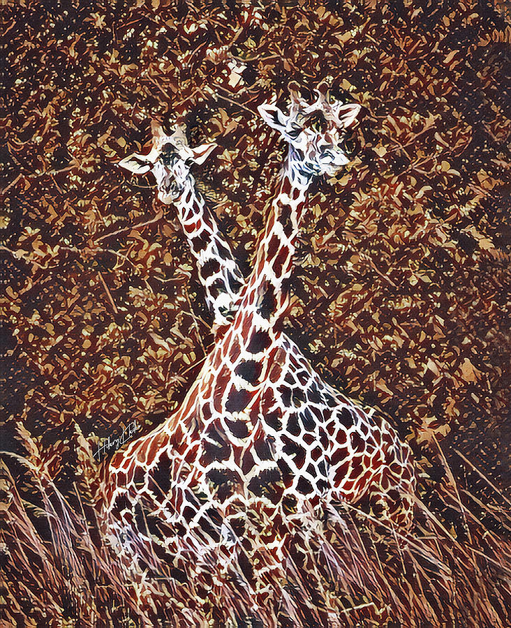 Two Giraffes Crossing Necks Digital Art by Hillary Kladke