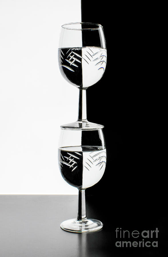 Two Glasses in BW Photograph by Shannon Moseley
