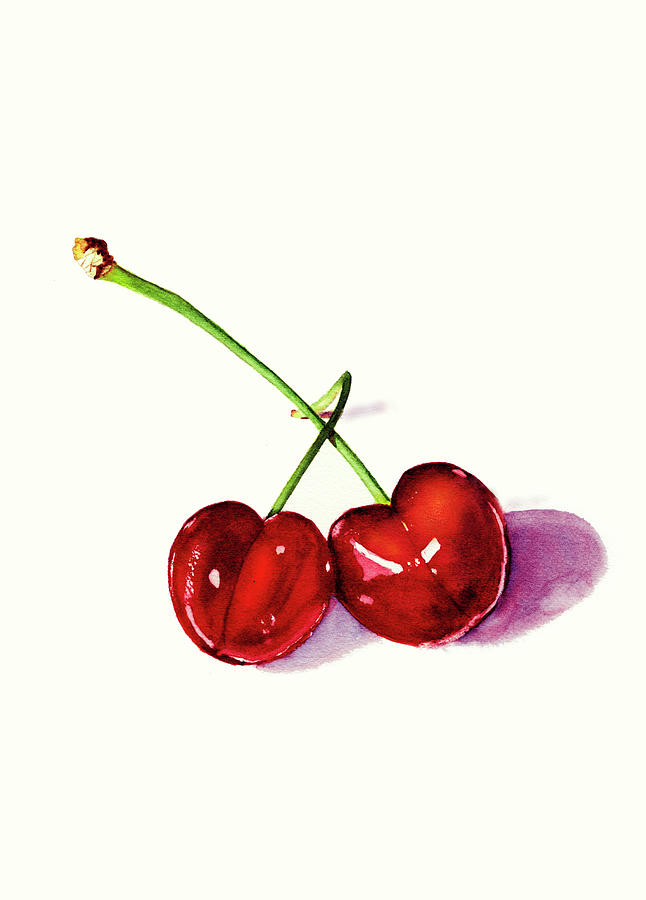 Two Glistening Red Cherries With Intertwined Stems  Painting by Deborah League