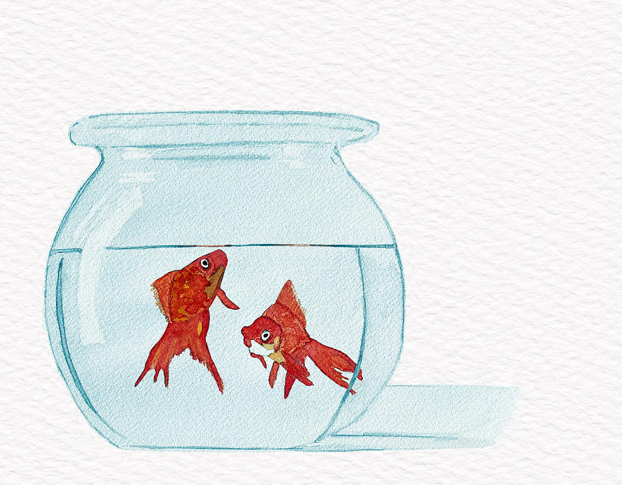 Two Goldfish In A Bowl Painting by Deborah League