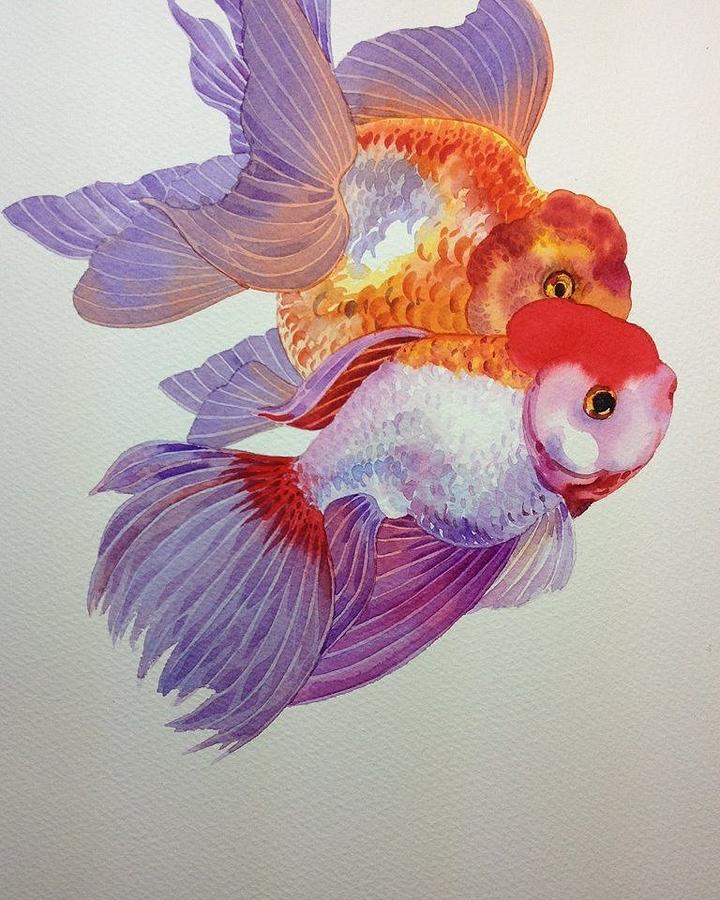 Two Goldfish Painting by Lauren Dane - Fine Art America