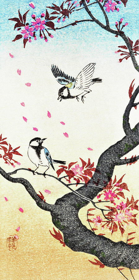 Two great tit at Cherry blossom tree - Digital Remastered Edition ...