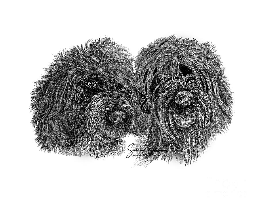 Two Griffs Drawing by Susan Edginton - Fine Art America