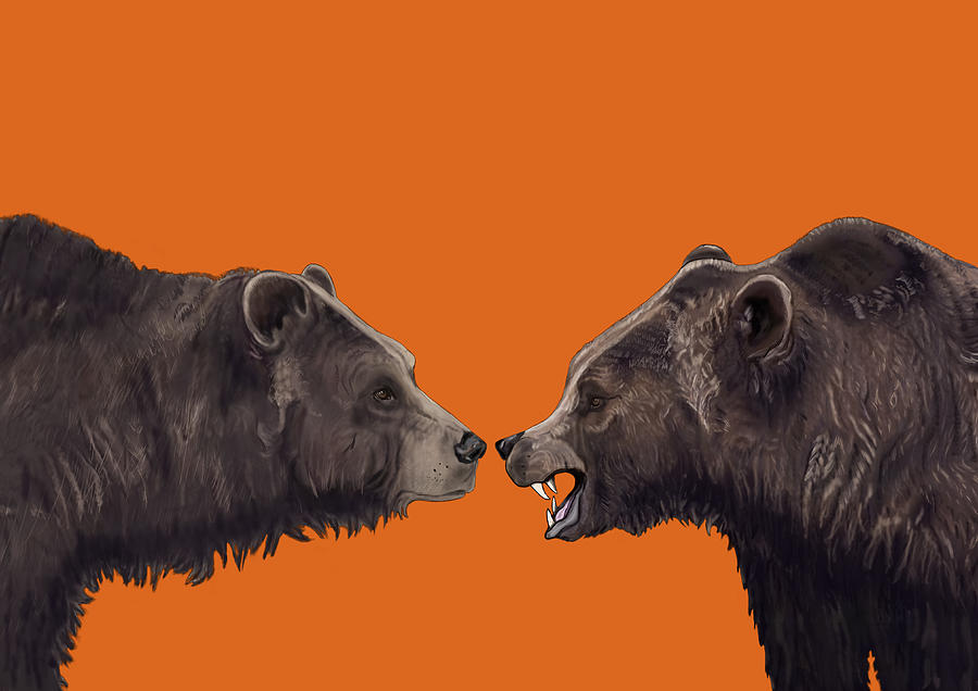 Two Grizzlies Mixed Media by Judy Cuddehe