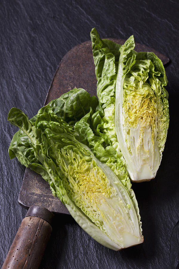 Two halves of romaine lettuce and an old knife on slate Photograph by Westend61