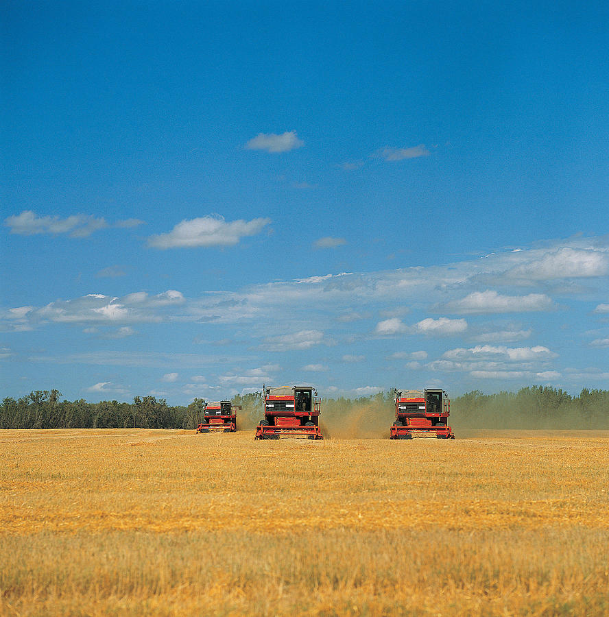 Two harvesters in field Photograph by Digital Vision.