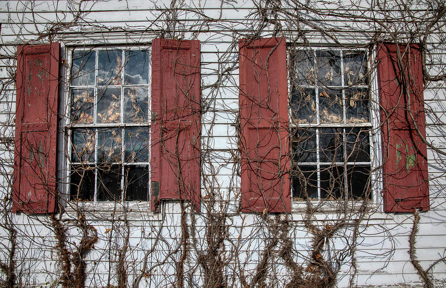 Two Haunted Windows Photograph by David Letts