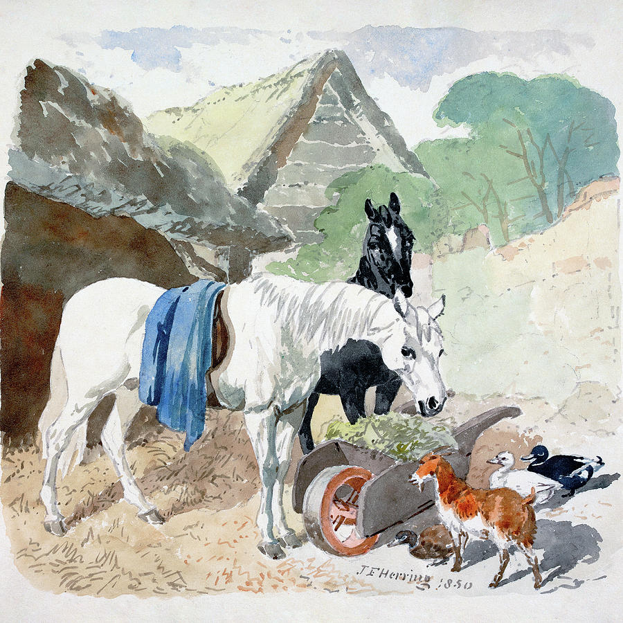 Animal Painting - Two Horses Eating From a Wheel-Barrow Watched by a Goat and Three Ducks by John Frederick Herring