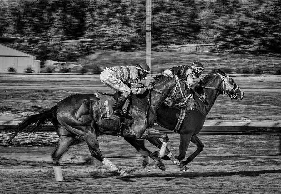 Two Horses in the Stretch Photograph by Paul Giglia