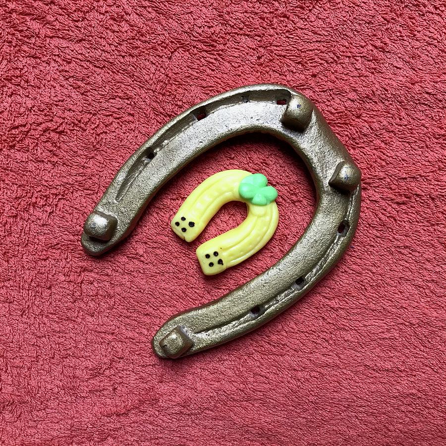 Two Horseshoes, One Metal, the other Made of Marzipan Photograph by Jan Dolezal
