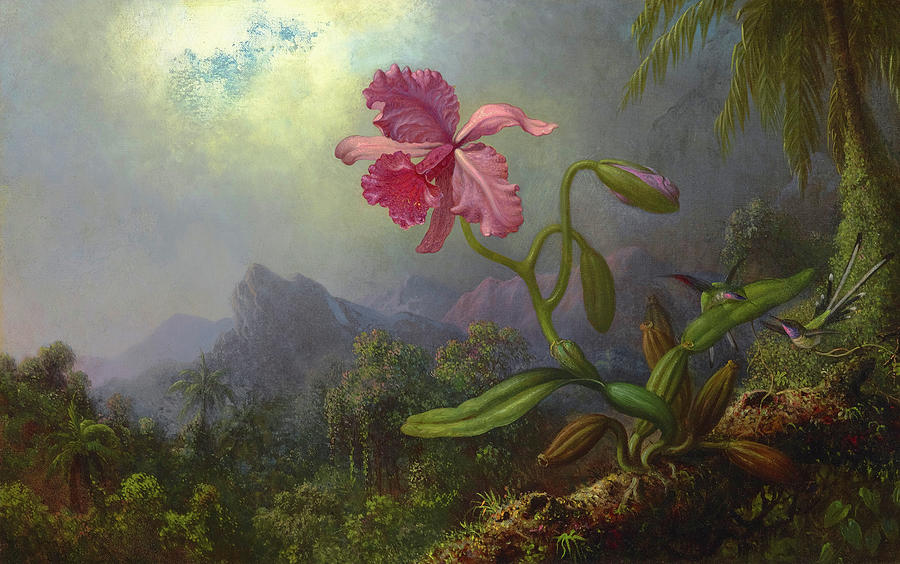 Martin Johnson Heade Painting - Two Hummingbirds with an Orchid, 1875 by Martin Johnson Heade