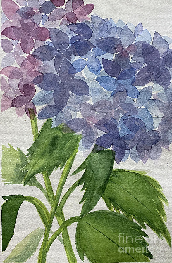 Two Hydrangeas Painting by Lisa Neuman