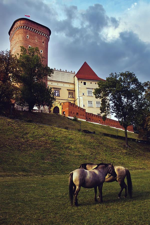 Two identical horse standing on a grass filed before famous wawel castle Photograph by Arpan Bhatia