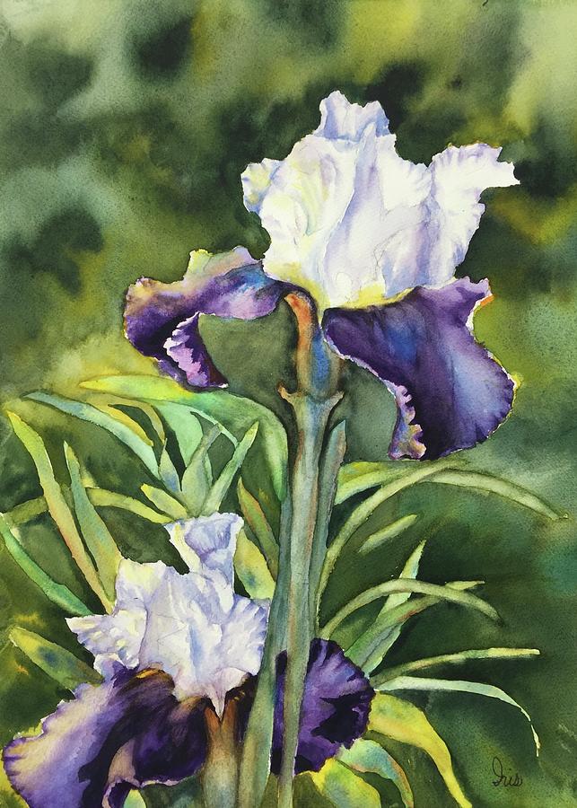 Two Irises Painting by Iris Rotker - Pixels