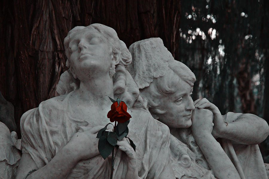 Two Ladies And Only One Flower Photograph