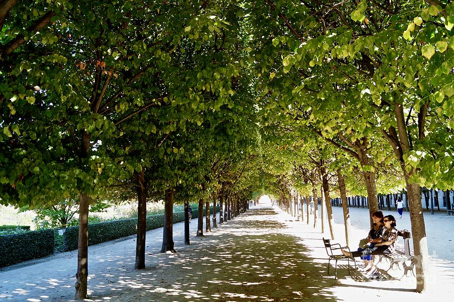 Two Ladies Sitting in Park Under Shady Trees Photograph by Jennie ...