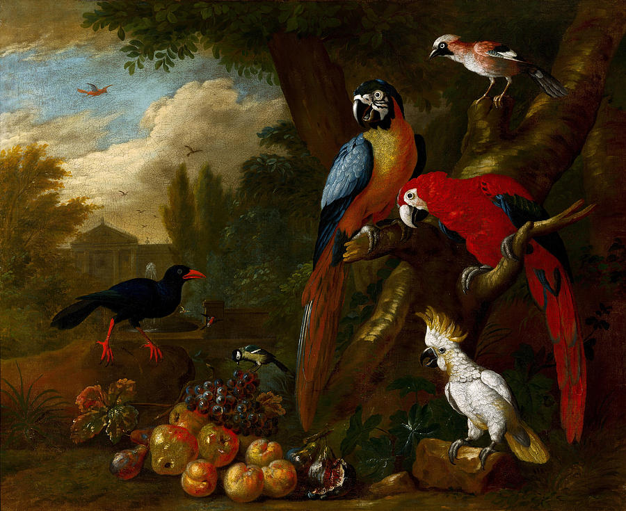 Two Macaws, a Cockatoo and a Jay, with Fruit, 1710 Painting by Jacob Bogdani