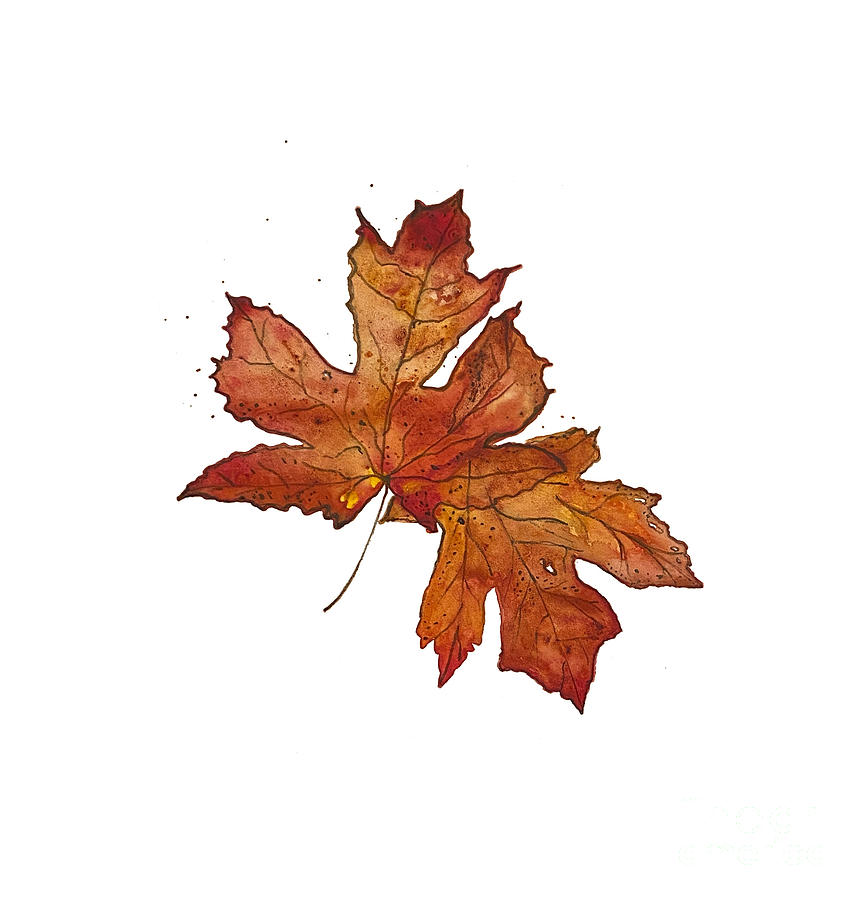 Two Maple Leaves Painting by Lisa Neuman