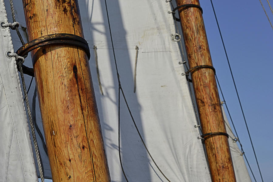 Two Masts Photograph by Nadalyn Larsen