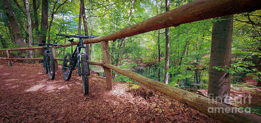 Two mountain bikes propped on a wooden fence Photograph by Mendelex Photography