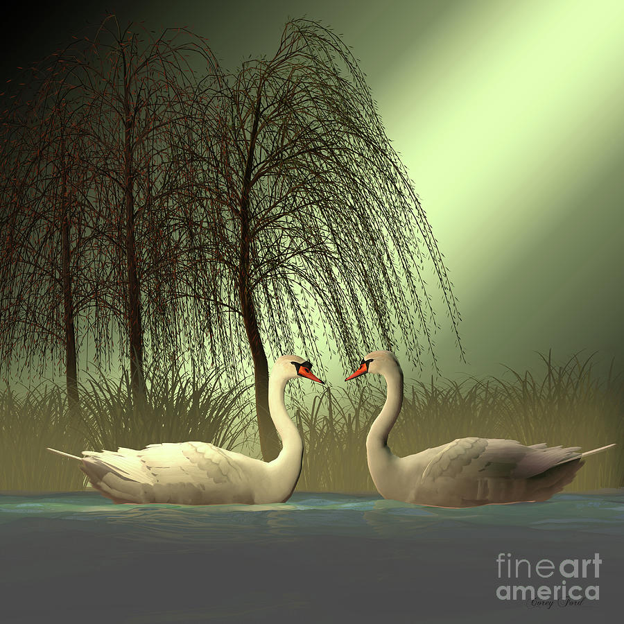 Two Mute Swans Digital Art by Corey Ford