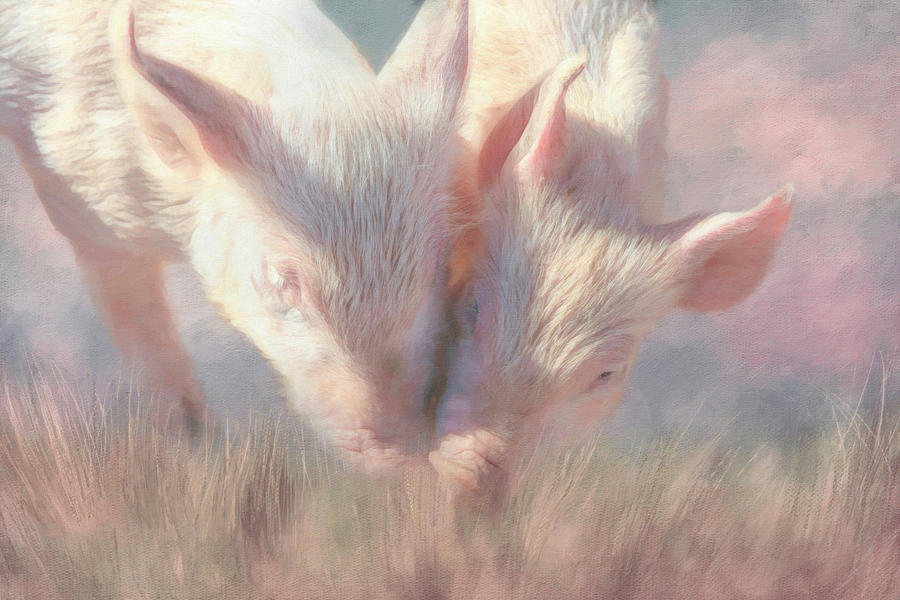 Pig Photograph - Two of a Kind by Donna Kennedy
