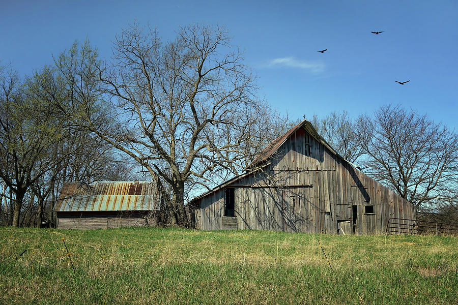 Two Old Barns - Nebraska Photograph by Nikolyn McDonald