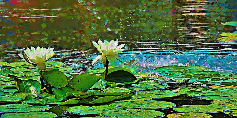 Two Painted White Water Lilies Mixed Media by Joan Stratton
