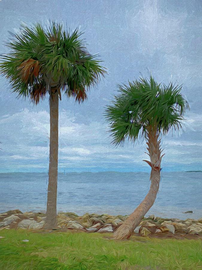 Two Palm Trees Along The Shore Photograph by Aimee L Maher ALM GALLERY