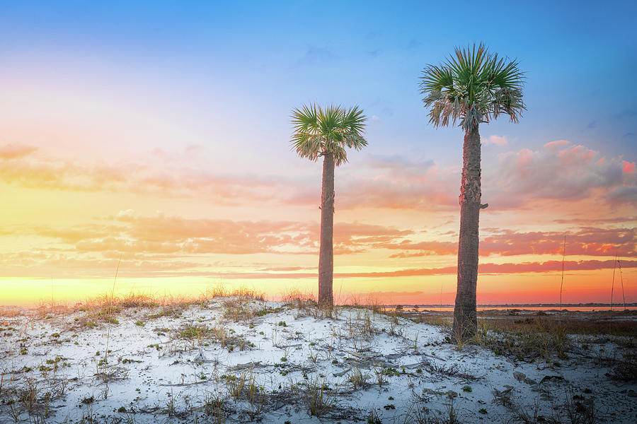 Two Palm Trees At Sunset Pensacola Florida Photograph by Jordan Hill