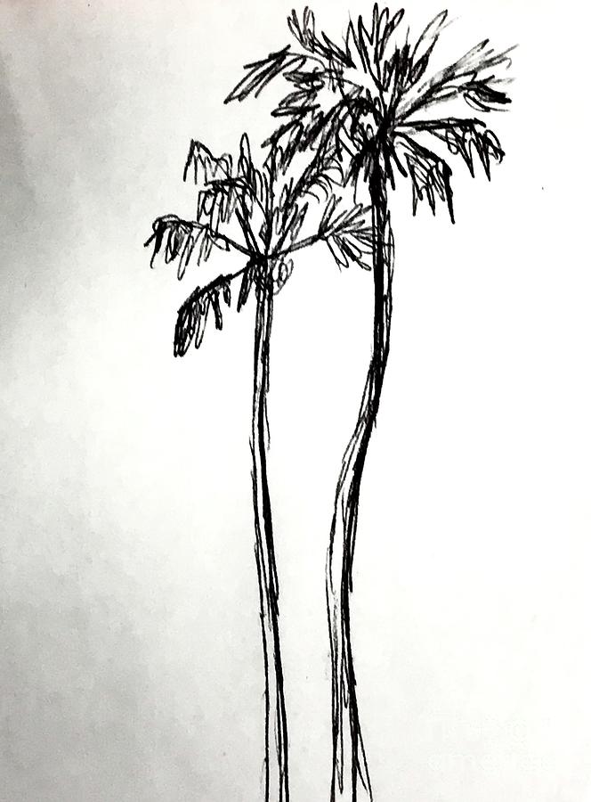 Ink Sketch Of Palm Tree Stock Illustration - Download Image Now - Palm  Tree, Vector, Etching - iStock