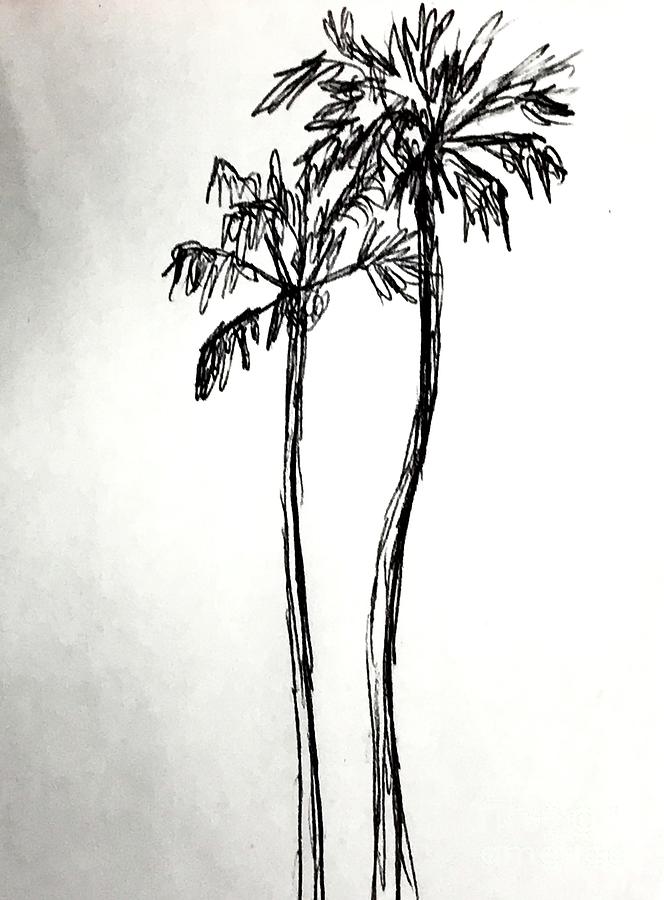 Two Palm Trees One Minute Drawing Drawing By Sofia Metal Queen