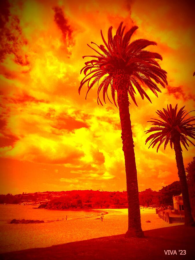 Two Palms at Sunset  -  Australia Digital Art by VIVA Anderson