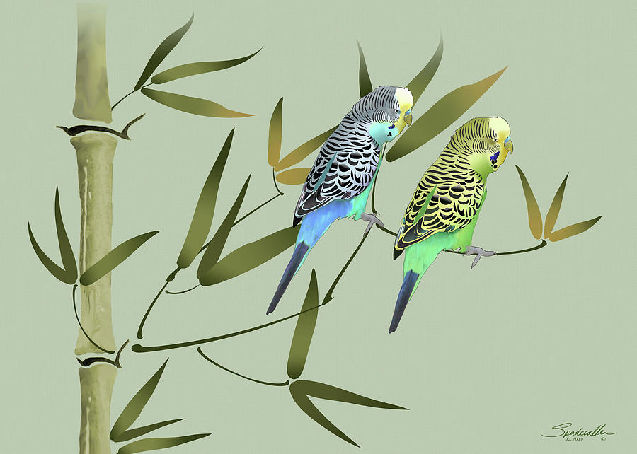 Two Parakeets in Bamboo Tree Digital Art by M Spadecaller