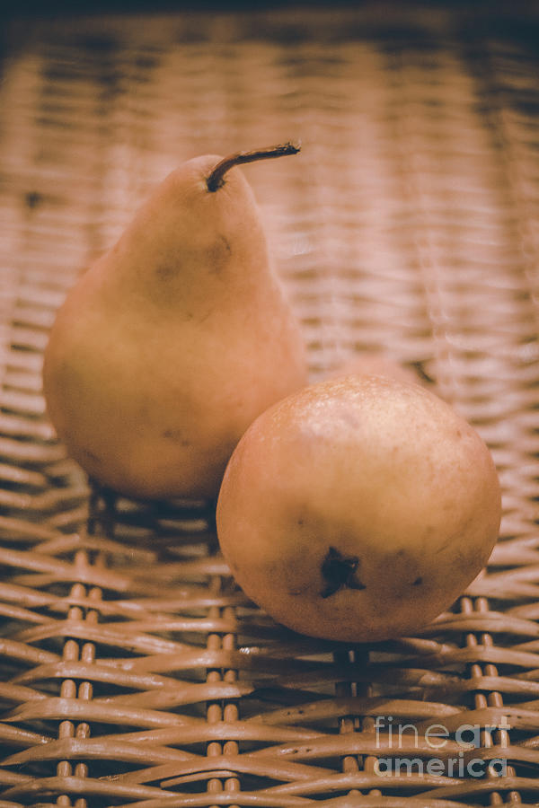 Pear Photograph - Two Pears on a Basket by Colleen Kammerer