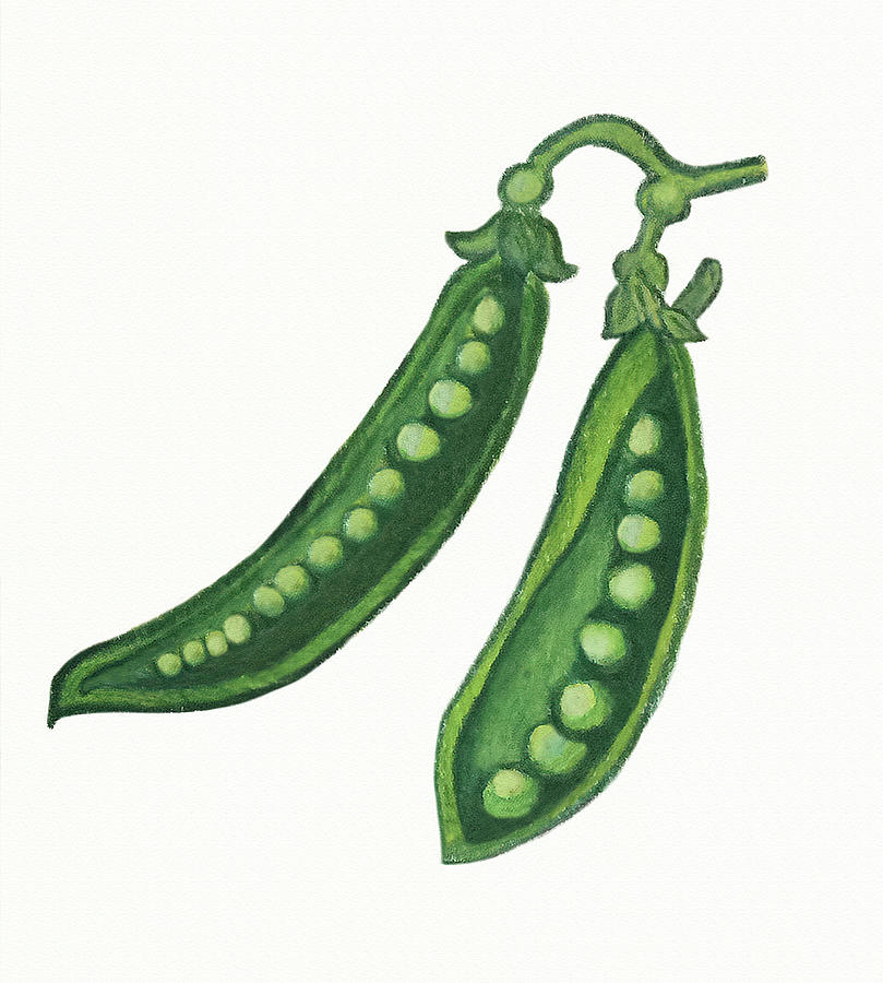 Two Peas In Pods Painting by Deborah League