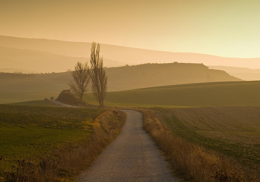 Two people walking along Camino de santiago at sunset, Spain Photograph by Ricardolr