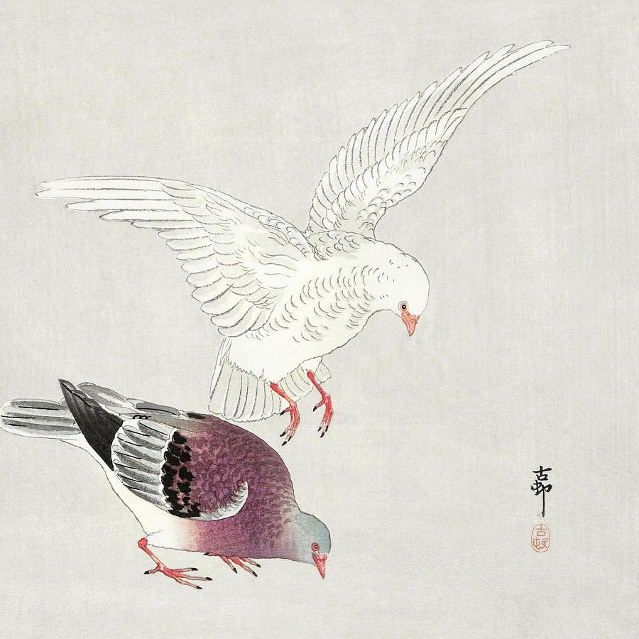 Ohara Koson Painting - Two pigeons by Ohara Koson