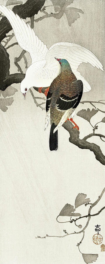 Ohara Koson Painting - Two pigeons on a branch by Ohara Koson