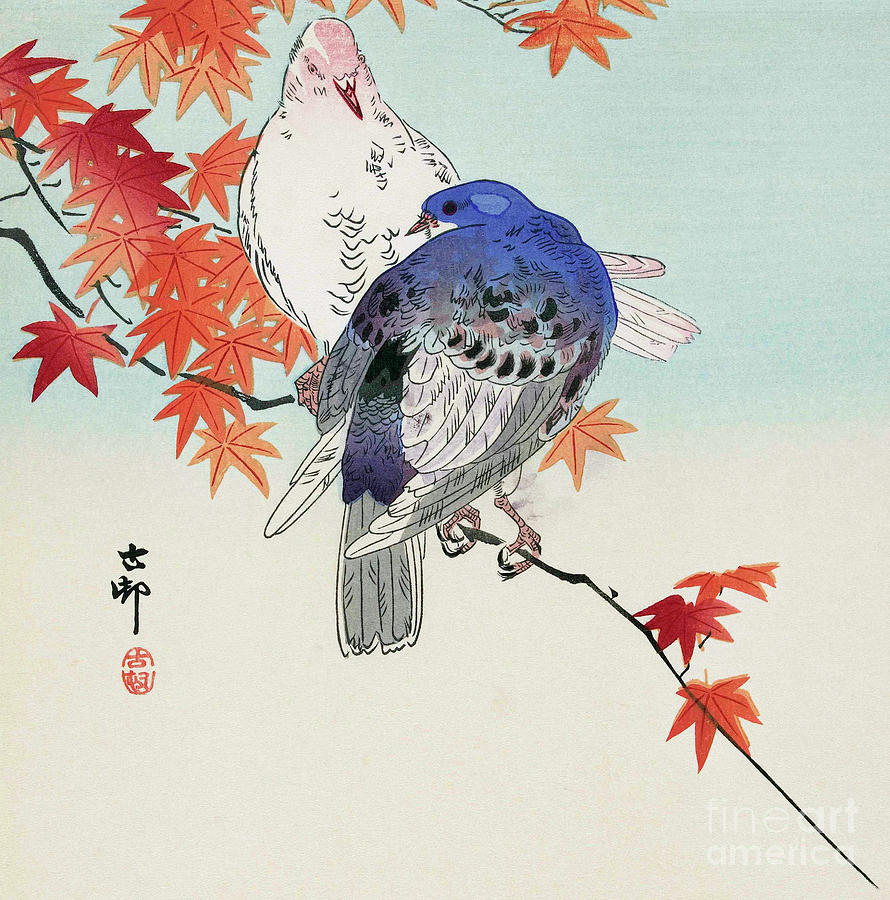 Two Pigeons on a Branch with Autumn Leaves by Koson, Ohara  Painting by Ohara Koson