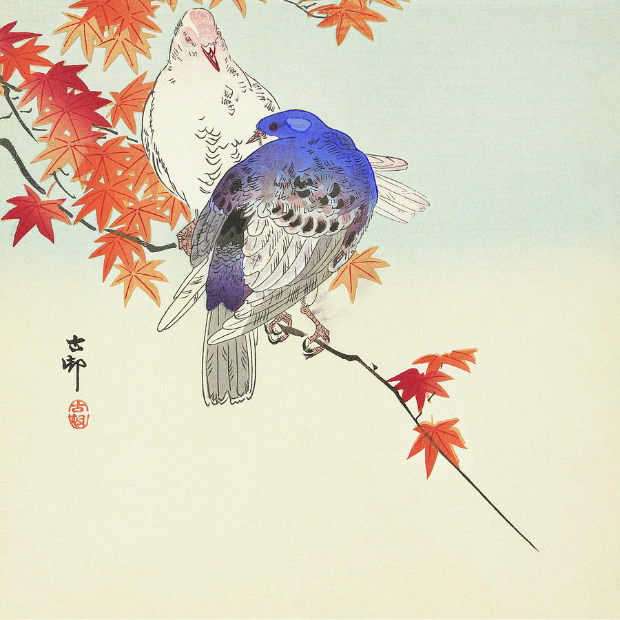 Ohara Koson Painting - Two pigeons on autumn branch by Ohara Koson