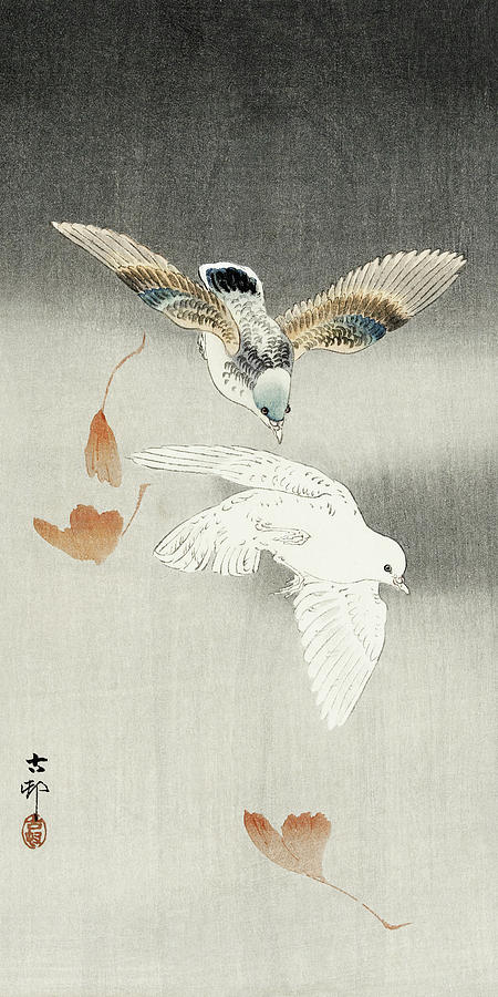 Ohara Koson Painting - Two pigeons with falling ginkgo leaves by Ohara Koson