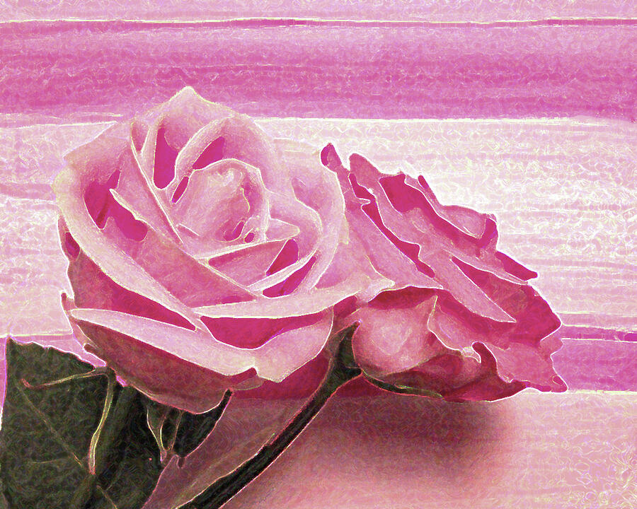 Two Pink Roses on Pink Stripe Photograph by Corinne Carroll